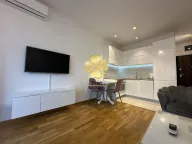 Izdavanje, garsonjera, 30m², Ljubović, Podgorica - image 9