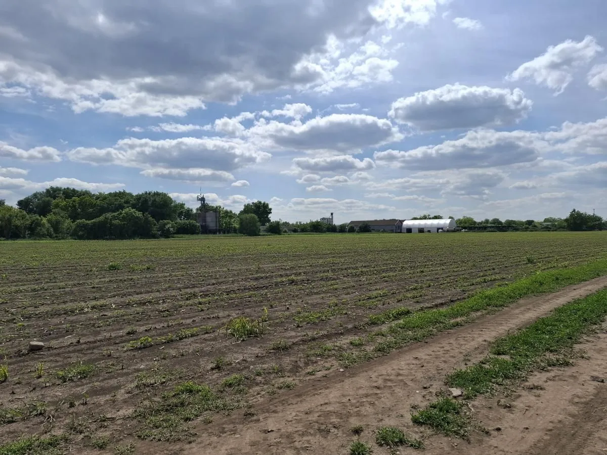 Prodaja, plac, 268m², Čenej, Novi Sad Sve Podlokacije