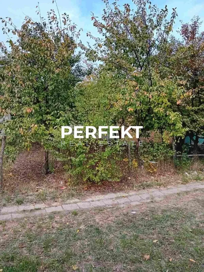 Dvorište puno zelenila i drveća.