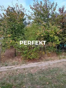 Dvorište puno zelenila i drveća. - image 8