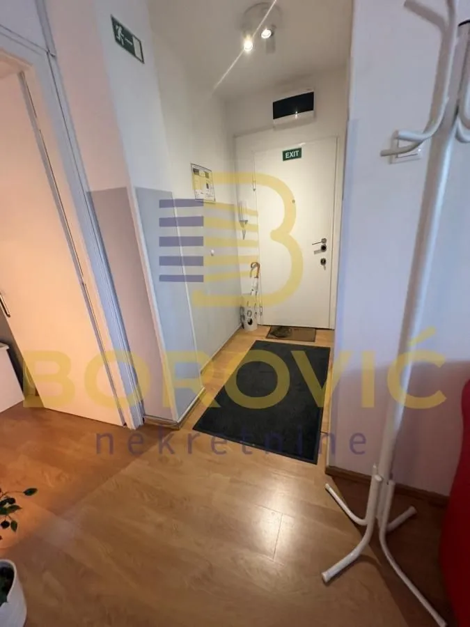 Izdavanje, dvosoban stan, 57m², Botanička Bašta, Palilula Sve Podlokacije