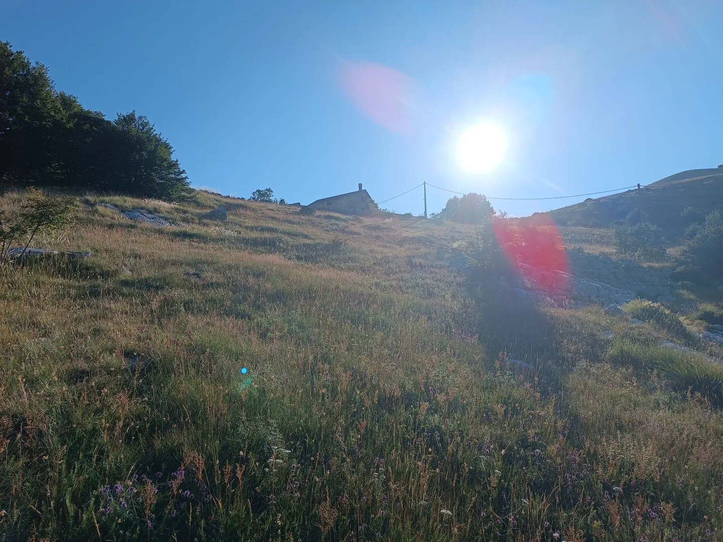 Prodaja, plac, 9000m², Ivanova Korita, Cetinje