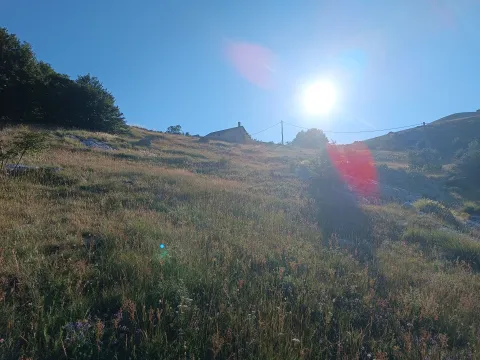 Prodaja, plac, 9000m², Ivanova Korita, Cetinje - image 7