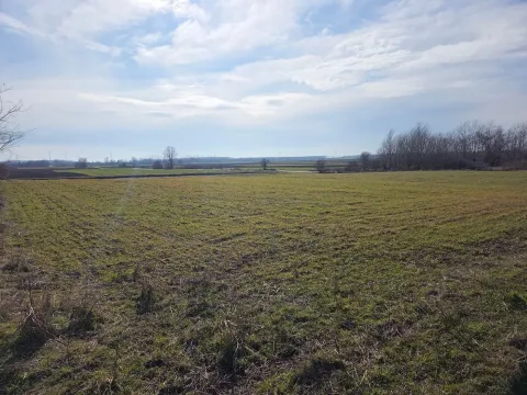 Prodaja, plac, 10756m², Centar, Požarevac - image 5