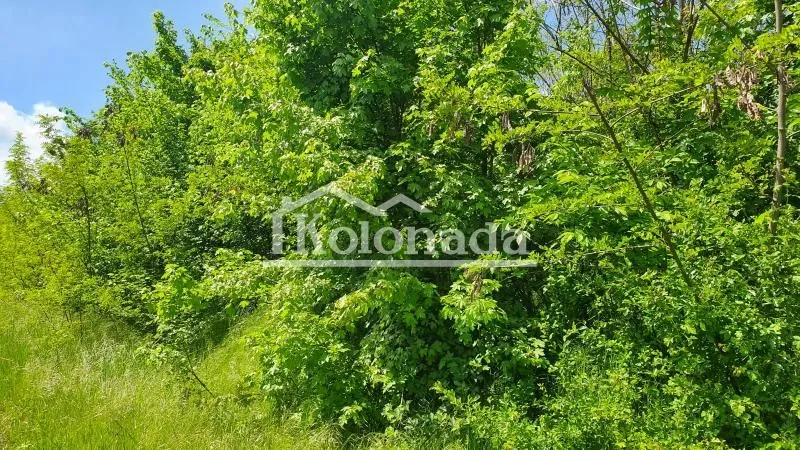 Prodaja, plac, 17700m², Sopot, Beograd