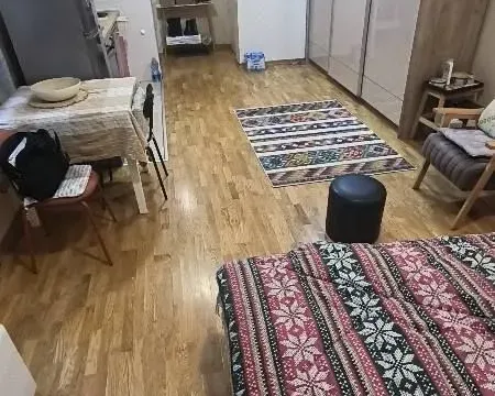 Prodaja, jednosoban stan, 30m², Karaburma, Palilula Sve Podlokacije - image 3