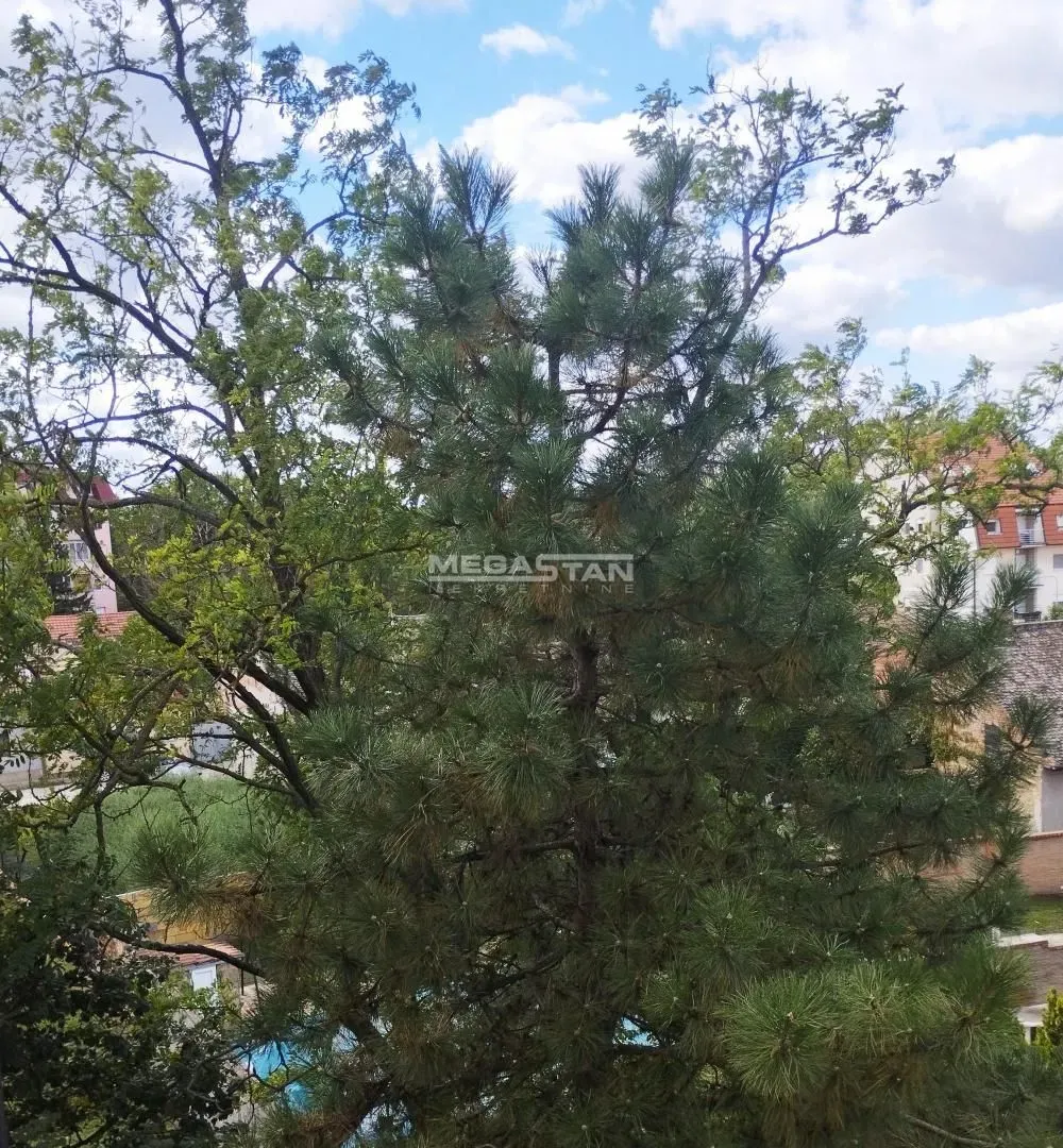 Prodaja, trosoban stan, 78m², Centar, Pančevo