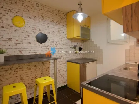 Izdavanje, dvosoban stan, 40m², Vračar Hram, Vračar Sve Podlokacije - image 15