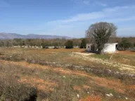 Prodaja, plac, 538m², Briska Gora, Ulcinj - image 4