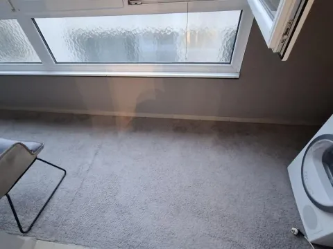 Izdavanje, dvosoban stan, 48m², Bulevar Oslobodjenja, Novi Sad Sve Podlokacije - image 15