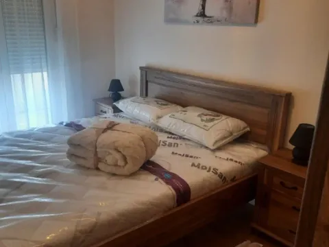 Izdavanje, jednosoban stan, 49m², Central Point, Podgorica - image 2