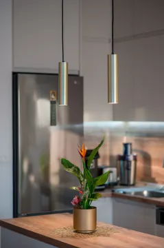 Detalj moderne kuhinje sa visećim lampama i ukrasnom biljkom na radnoj površini. - image 9