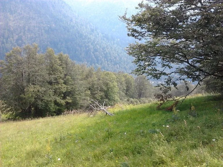 Prodaja, plac, 10000m², Kolašin, Crna Gora