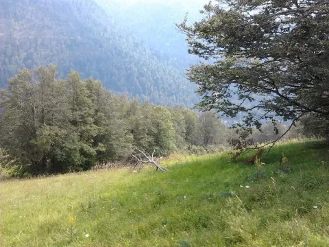 Prodaja, plac, 10000m², Kolašin, Crna Gora