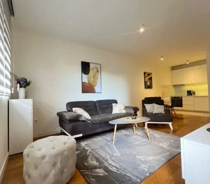 Prodaja, jednosoban stan, 49m², Central Point, Podgorica