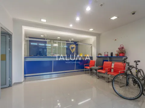 Prodaja,  poslovni prostor, 118m2, Ibričevina, Podgorica