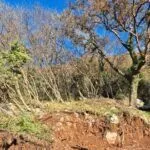 Prodaja, plac, 1500m², Markovići, Budva - image 6