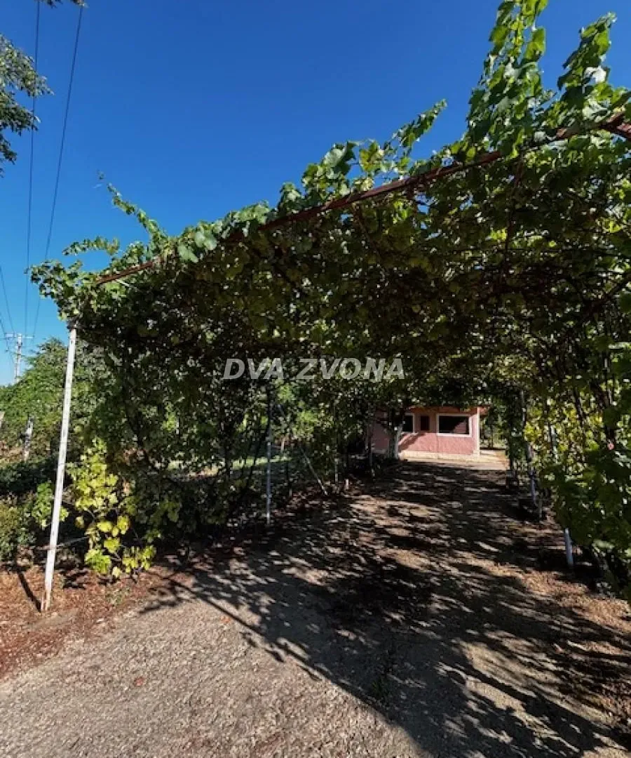 Sale, house, 18m², Čortanovci, Inđija