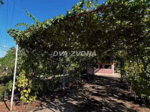 Sale, house, 18m², Čortanovci, Inđija