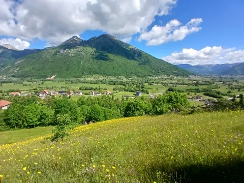 Prodaja, plac, 6000m², Centar, Plav - image 2