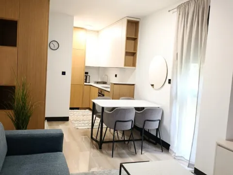 Rent, one bedroom apartment, 45m², Vezirov Most, Podgorica - image 5