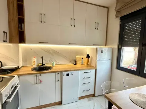 Rent, one bedroom apartment, 369m², Krivi Most, Podgorica - image 4