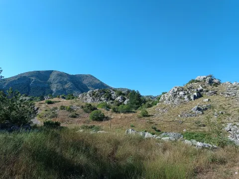 Prodaja, plac, 2000m², Njeguši, Cetinje - image 2