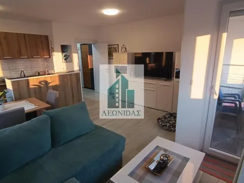 Sale, one bedroom apartment, 43m², Pantelej, Niš - image 3