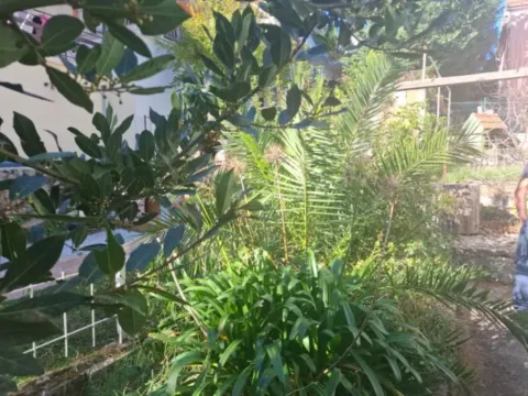 Sale, house, 135m², Krašići, Tivat - image 11