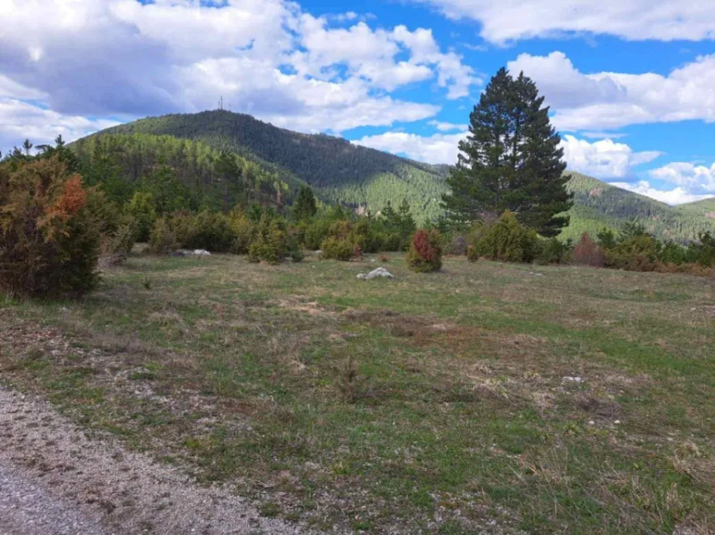 Sale, land lot, 10500m², Stublo, Čajetina