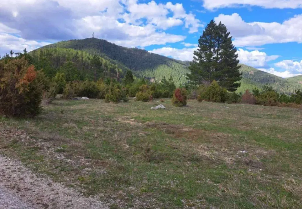 Prodaja, plac, 10500m², Stublo, Čajetina