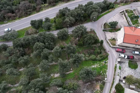 Pogled iz vazduha na zemljište sa maslinama i prilaznim putem. - image 6