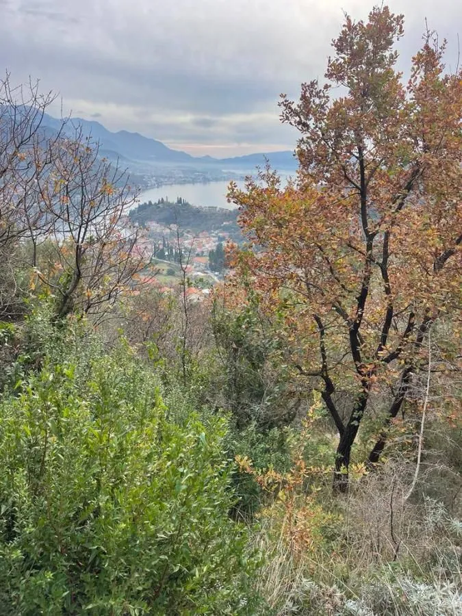 Prodaja, plac, 500m², Kamenari, Herceg Novi