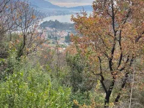 Prodaja, plac, 500m², Kamenari, Herceg Novi - image 5