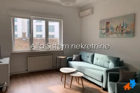 Izdavanje, dvosoban stan, 56m², Vračar Centar, Vračar Sve Podlokacije - image 2