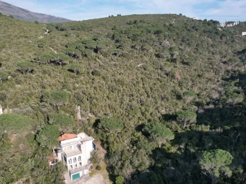 Prodaja, plac, 2152m², Luštica, Herceg Novi - image 6