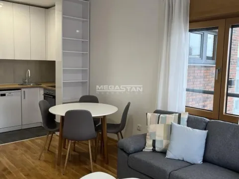 Rent, one bedroom apartment, 43m², Južni Bulevar, Vračar Sve Podlokacije - image 2