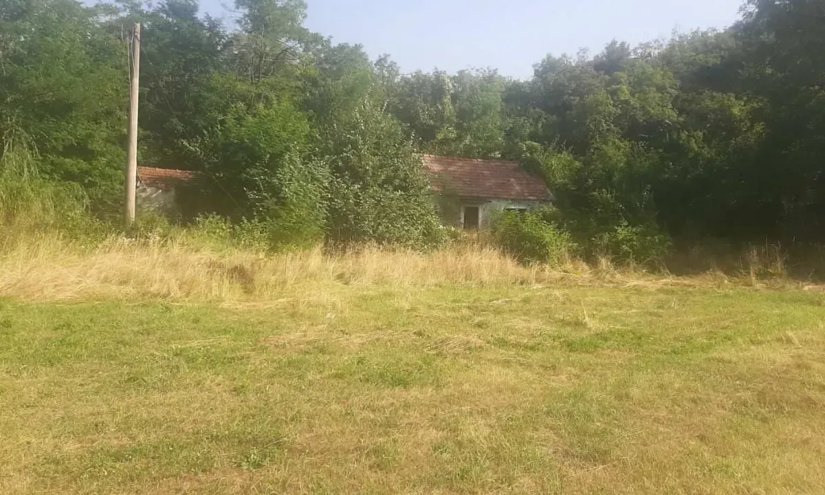 Prodaja, plac, 23400m², Grahovo, Nikšić