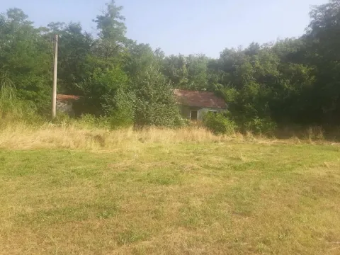Prodaja, plac, 23400m², Grahovo, Nikšić