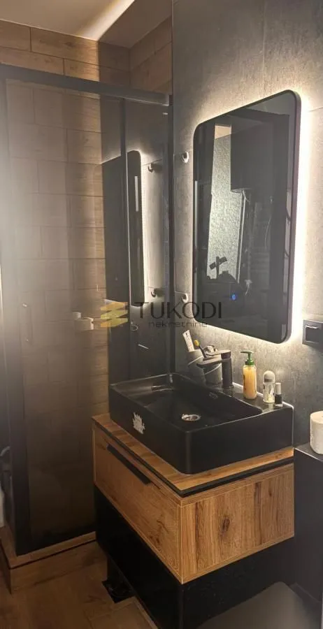 Rent, one bedroom apartment, 60m², Novi Beograd Blok 21, Novi Beograd Sve Podlokacije