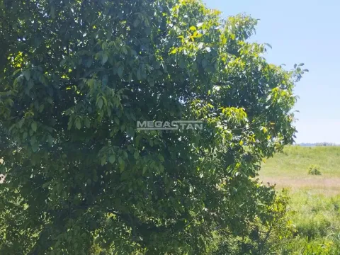 Prodaja, poslovni prostor, 187m², Krnjaca, Palilula Sve Podlokacije - image 12