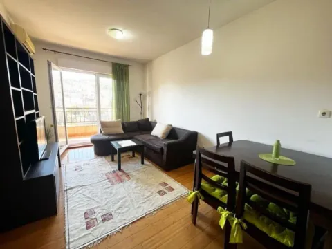 Izdavanje, jednosoban stan, 47m², Zagorič, Podgorica - image 8