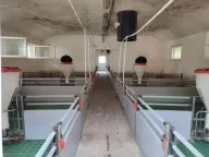 Prodaja, kuća, 228m², Kelebija, Subotica - image 16