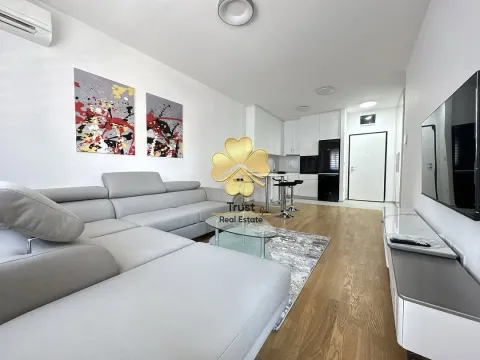 Izdavanje, stan, 50m², Stari Aerodrom, Podgorica - image 2