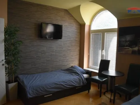 Izdavanje, kuća, 250m², Petrovaradin, Novi Sad - image 10