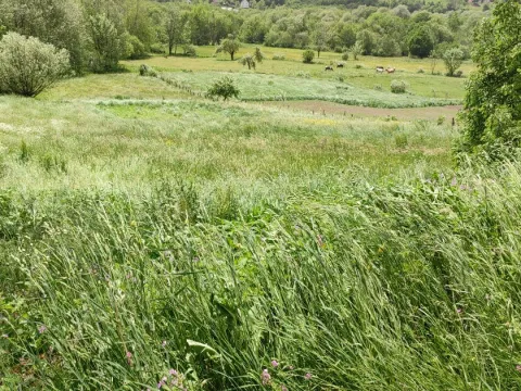 Prodaja, plac, 4000m², Kolašin, Crna Gora - image 3