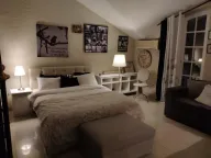 Izdavanje, kuća, 450m², Savski Venac, Beograd - image 13