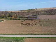 Prodaja, plac, Sviloš, Beočin - image 1