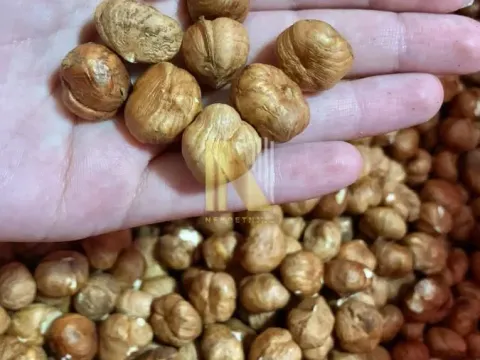 Sale, land lot, 190m², Kikinda, Srbija - image 36