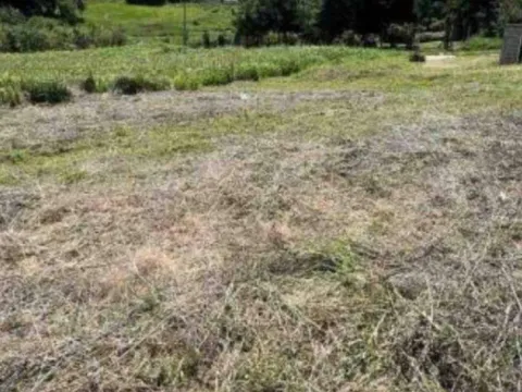 Sale, land lot, 794m², Beočin, Srbija - image 2